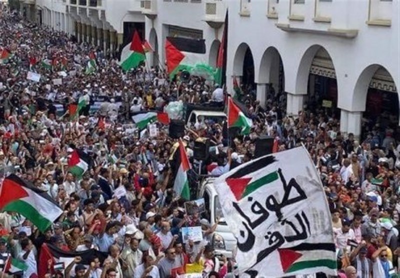 الجزائر تدین مجزرة &quot;النصیرات&quot; فی غزة.. وتظاهرة فی المغرب لإنهاء &quot;الإبادة الجماعیة&quot;