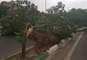 طوفان استان البرز را درنوردید/ گزارش 28 حادثه به آتش‌نشانی