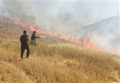 حریق ادامه‌دار در اراضی کوهدشت/ احتمال گسترش آتش‌سوزی