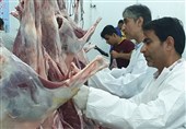 فعالیت 36 پایگاه دامپزشکی بوشهر در عید قربان