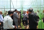 افتتاح مجتمع گلخانه نوین پور رضا در شهرستان ابرکوه