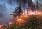 اعزام 5 بالگرد برای مهار آتش‌سوزی جنگل‌های غرب کشور
