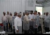 بازدید معاون وزیر جهاد کشاورزی از یک شرکت دارویی در ابرکوه