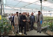 بازدید استاندار مازندران از ظرفیت‌های شهرستان نور