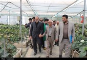 بازدید استاندار مازندران از ظرفیت‌های شهرستان نور