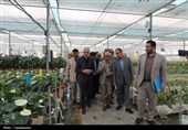 بازدید استاندار مازندران از ظرفیت‌های شهرستان نور