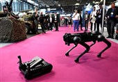French Court Extends Ban on Israeli Participants in Weapons Trade Show