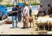 ذبح دام در عید قربان با شرایط استاندارد باشد