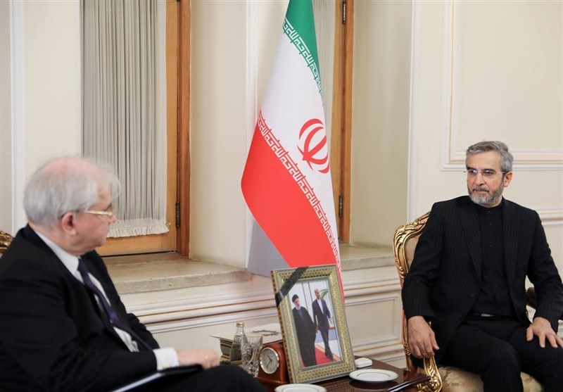 دیدار فرستاده ویژه وزیر خارجه روسیه با علی باقری