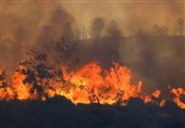 Five Dead, Dozens Injured as Wildfires Ravage Southeastern Turkey