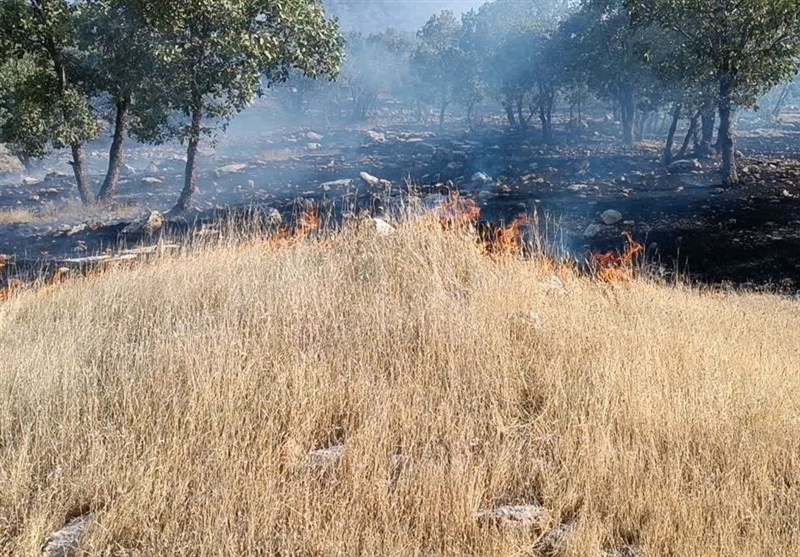 آتش‌سوزی گسترده ‌جنگل‌های پلدختر را در بر گرفت