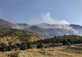 مهار آتش‌سوزی در بخشی از جنگل‌‌های پلدختر با 7 سورت پرواز