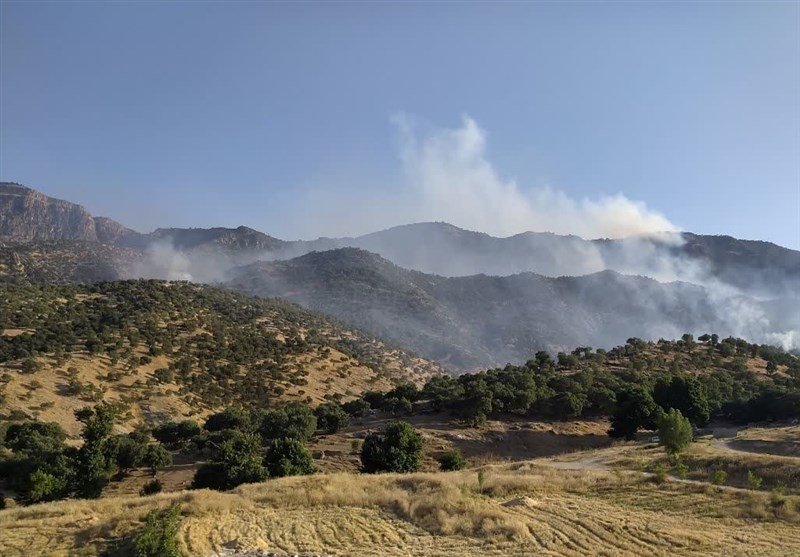 مهار آتش‌سوزی در بخشی از جنگل‌‌های پلدختر با 7 سورت پرواز