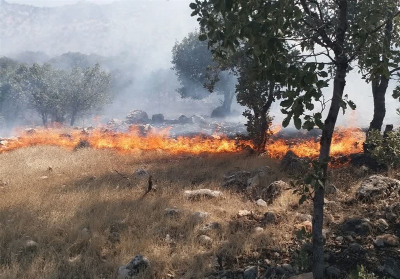 جنگل‌های پلدختر همچنان در آتش می‌سوزند‌ + فیلم
