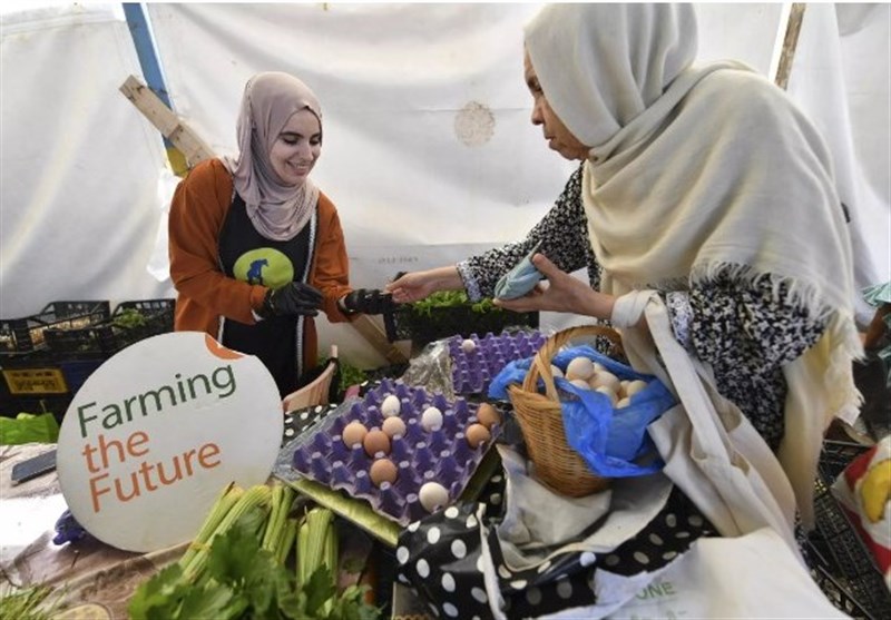 Algerian Women Pioneer Eco-Friendly Farming