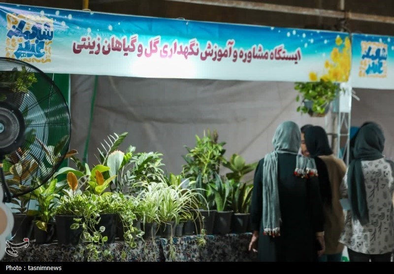 فرهنگي،جشن،اجتماعي،يزد،ورزشي،حضور،زارع،كودكانه،موكب