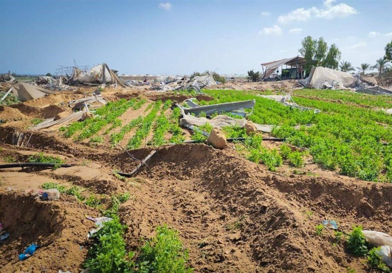 تخریب آخرین سبد غذایی خانوارهای فلسطینی در جنوب نوار غزه