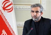 باقری: برخی دولت‌های غربی از حق طبیعی ایرانیان صیانت نکردند
