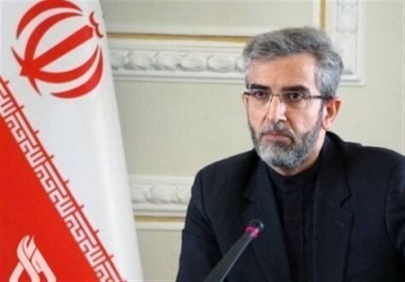 باقری: برخی دولت‌های غربی از حق طبیعی ایرانیان صیانت نکردند