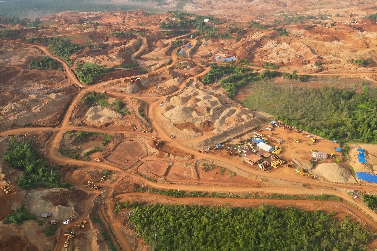 نابودی 700000 هکتار جنگل برای توسعه معادن
