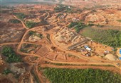 نابودی 700000 هکتار جنگل برای توسعه معادن