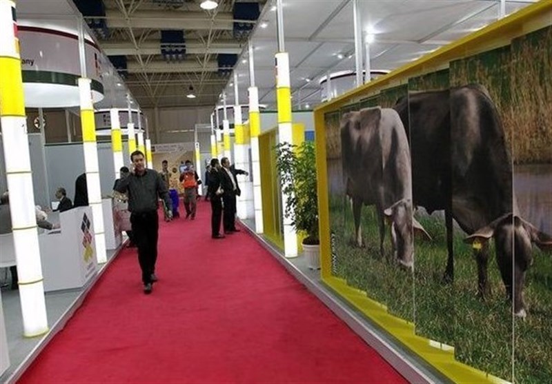 23rd Iran Exhibition of Poultry, Livestock to Be Held on July 20