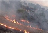 تداوم آتش در جنگل‌های لرستان/ حریق چگنی و خرم‌آباد مهار شد