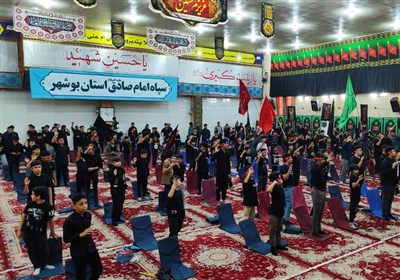 سوگواره،بوشهر،استان،كربلا،احلي،قاسم،شهداي