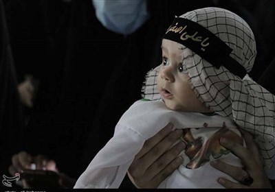 همايش،استان،صبوري،مجمع،فارس،پزشكي،كشور،پويش،رويداد،اصغر،حسين ...