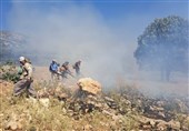 شناسایی 21 مقصر آتش‌سوزی‌‌ جنگل‌های کهگیلویه و بویراحمد