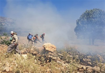 عملیات مهار آتش در ارتفاعات شهرستان گیلانغرب
