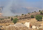 آتش سوزی در ارتفاعات شهرستان گیلانغرب