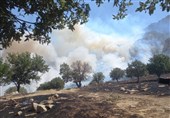 مهار آتش‌سوزی جنگل‌های گیلان‌غرب/ بالگردها به کمک آمدند