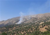 آتش مجدد در منطقه حفاظت‌شده سیوک شعله‌ور شد + فیلم و عکس