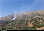900 هکتار از منابع طبیعی شهرستان دزپارت در آتش سوخت
