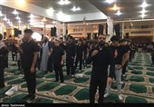  اجتماع عزاداران بوشهری در تاسوعای حسینی