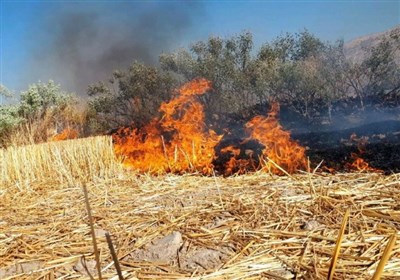 مهار کامل آتش سوزی مراتع قوشاداغ اهر