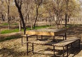 احداث باغ‌های متنوع در بوستان جهانشهر مشهد