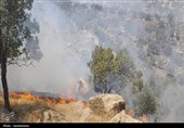 ردپای انسان در آتش‌‌ جنگل‌های لرستان/ شناسایی عاملان حریق