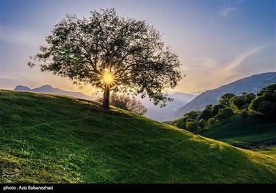 Летняя природа Ирана - Долина «Дарре Анаран» в Хоррамабаде