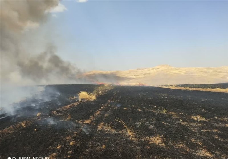12هکتار از مزارع دلفان در آتش سوخت