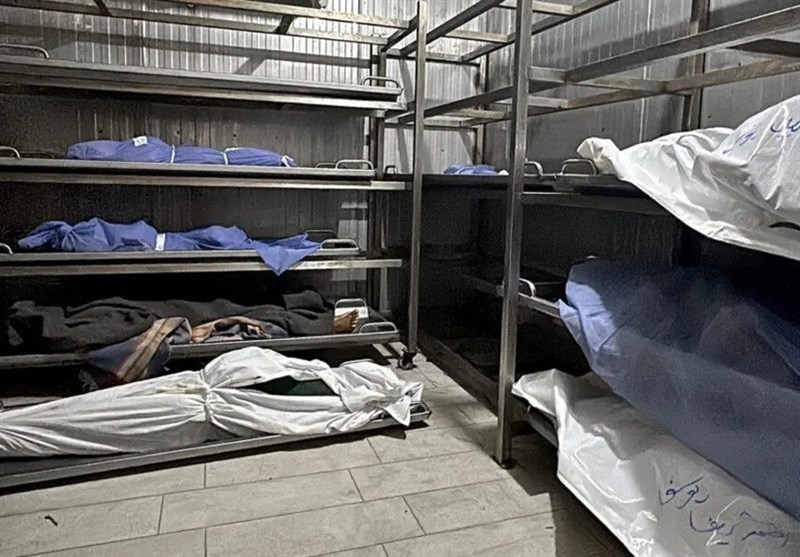 Gaza Health System on Brink as Israeli Strikes Continue: UNRWA