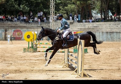 ورزش،مجموعه،سواركاري،ورزشي،توسعه