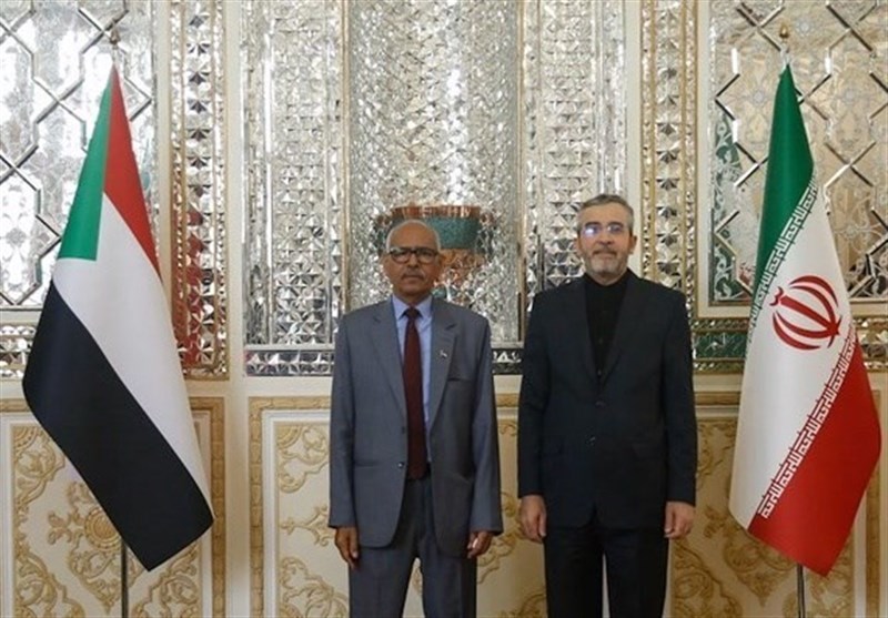 آمادگی سودان برای همکاری و تعامل نزدیک با ایران