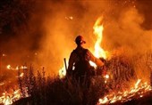 Wildfires Rage in Spain As Heatwave Peaks