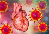 Study Claims COVID-19 Vaccination Lowers Incidence of Heart Attacks