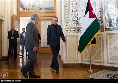 دیدار وزیر خارجه اردن با سرپرست وزارت امور خارجه