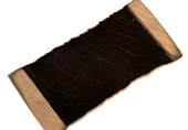 New Super-Black Wood-Based Material Discovered by Accident