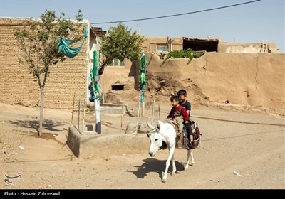 اقدامات گروه جهادی شهدا به مناسبت شهادت حضرت رقیه (س‌)