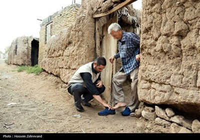 اقدامات گروه جهادی شهدا به مناسبت شهادت حضرت رقیه (س‌)